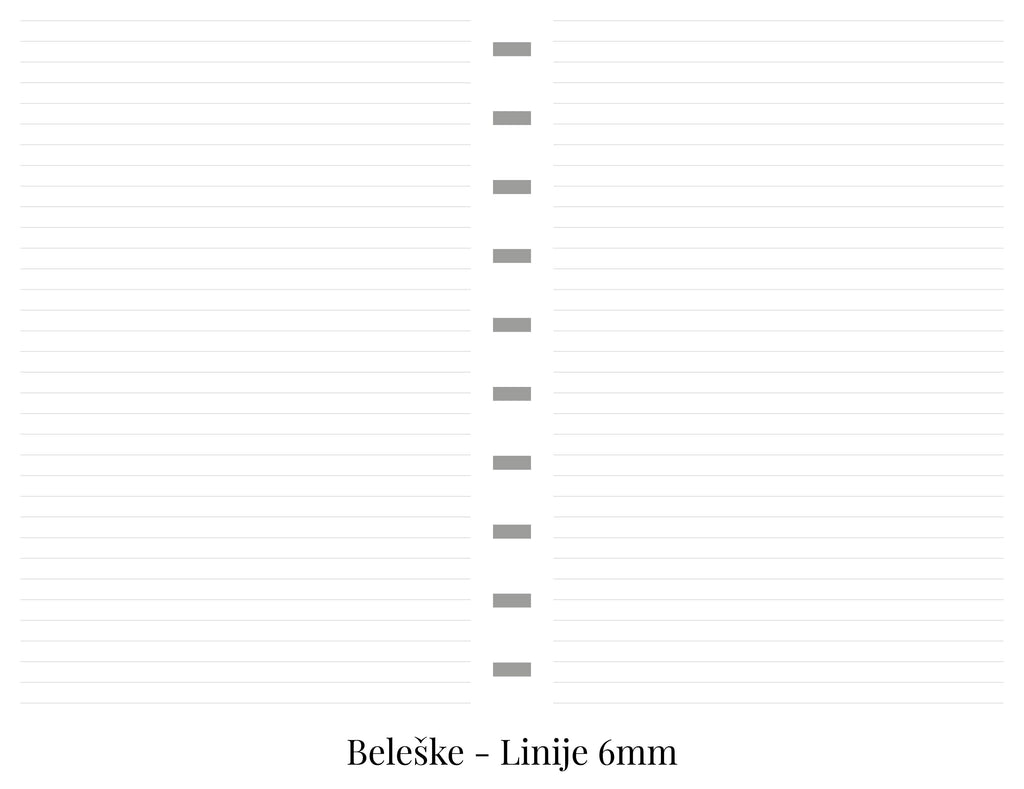 Standardni planer sa delom za beleške (A5)