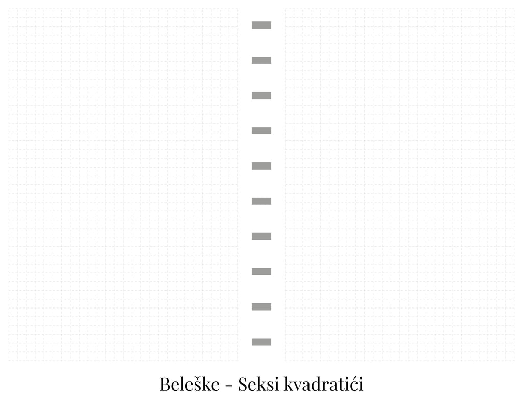 Studentski planer sa delom za beleške (A5)