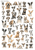 Stikeri "Adopt, Don't Shop 1"