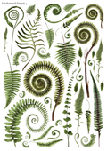 Stikeri "Enchanted Forest 04"