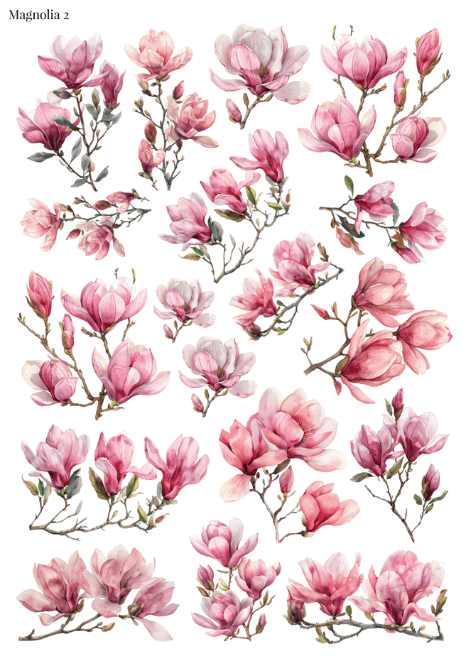Stikeri "Magnolia 2"