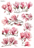 Stikeri "Magnolia 4"