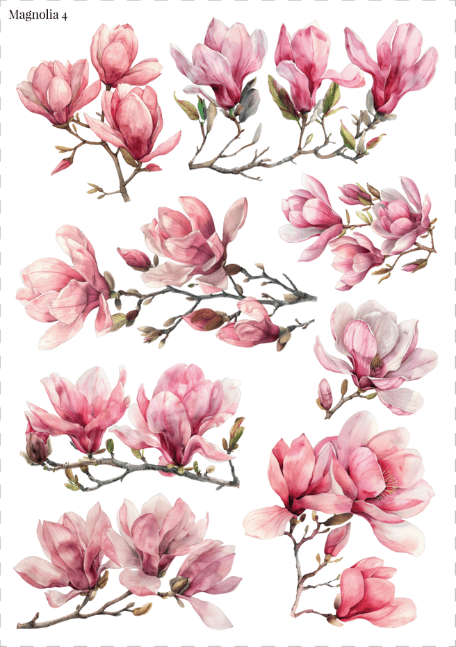 Stikeri "Magnolia 4"