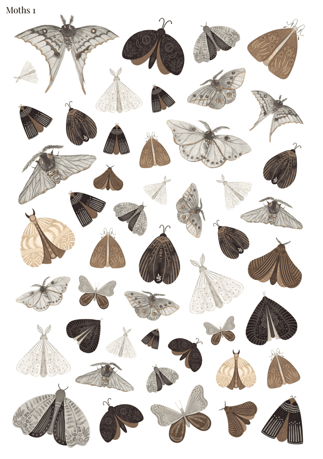 Stikeri "Moths 1"