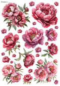 Stikeri "Peonies 2"