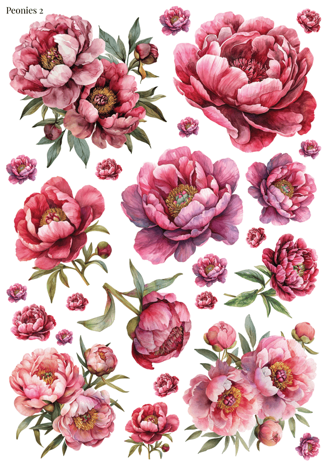Stikeri "Peonies 2"