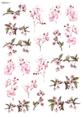 Stikeri "Sakura 1"
