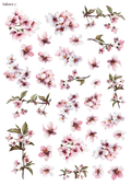 Stikeri "Sakura 3"