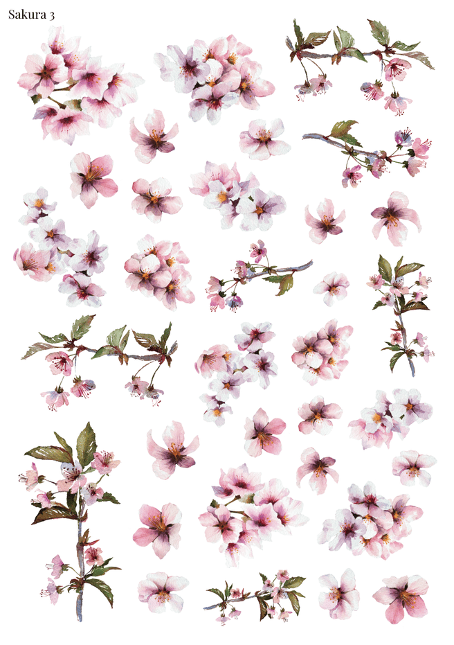 Stikeri "Sakura 3"
