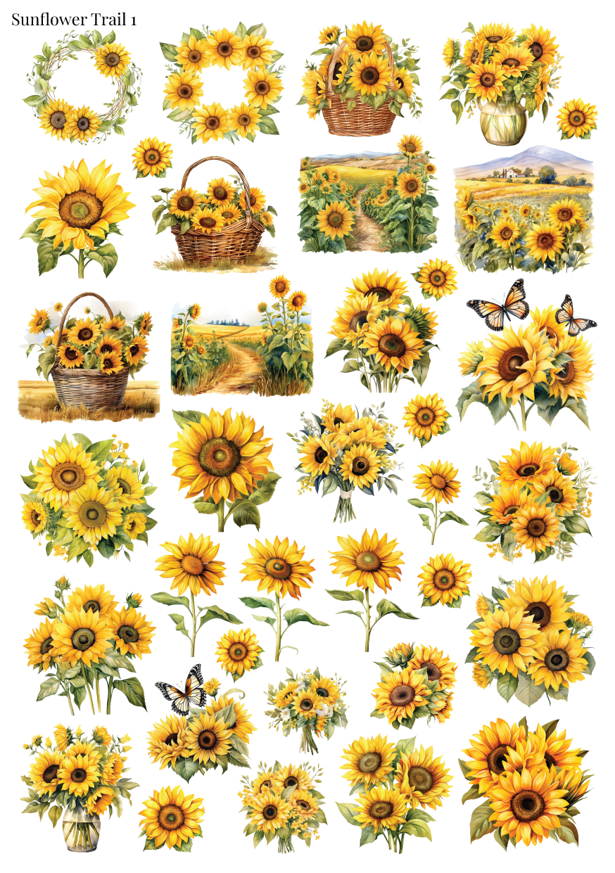 Stikeri "Sunflower Trail 1"
