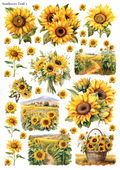 Stikeri "Sunflower Trail 2"