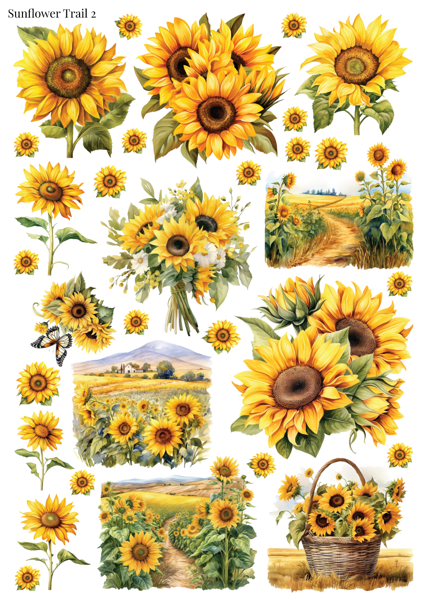Stikeri "Sunflower Trail 2"