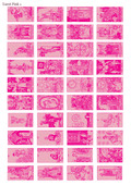 Stikeri "Tarot Pink 1"