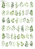 Stikeri "Wildflowers 2"