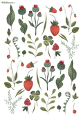 Stikeri "Wildflowers 3"