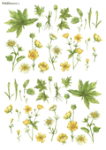 Stikeri "Wildflowers 5"