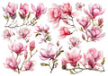 Set štampalica "Magnolije"