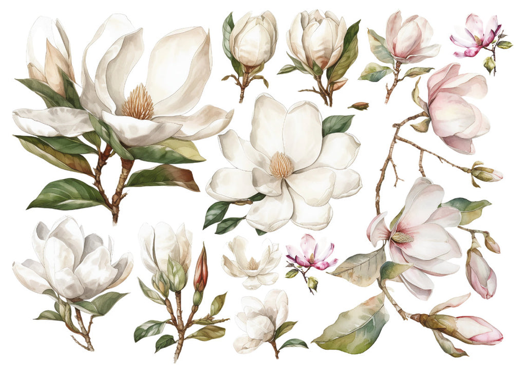 Set štampalica "Magnolije"