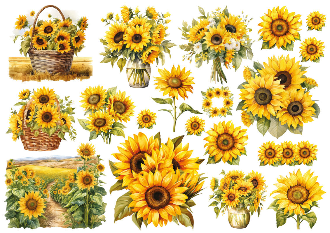 Set štampalica "Sunflower Trail"