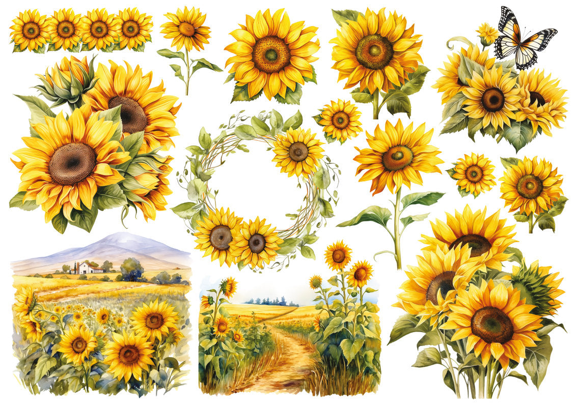 Set štampalica "Sunflower Trail"